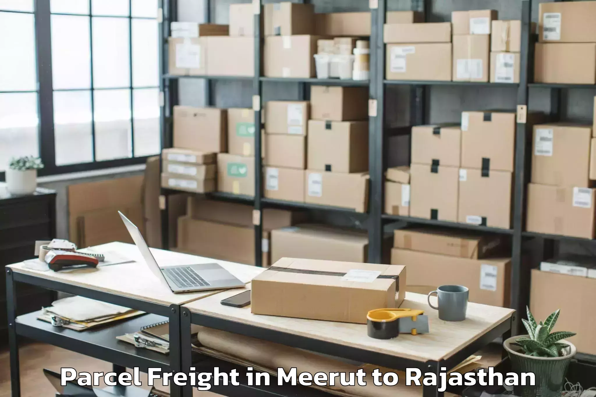 Book Meerut to Maharaja Ganga Singh Universit Parcel Freight Online